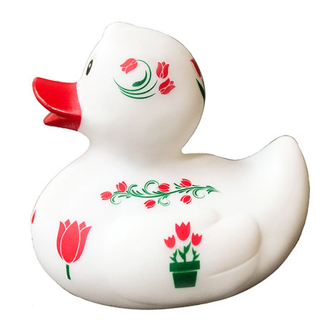 Tulpen Dutch Duck  een origineel cadeau met Hollandse touch!